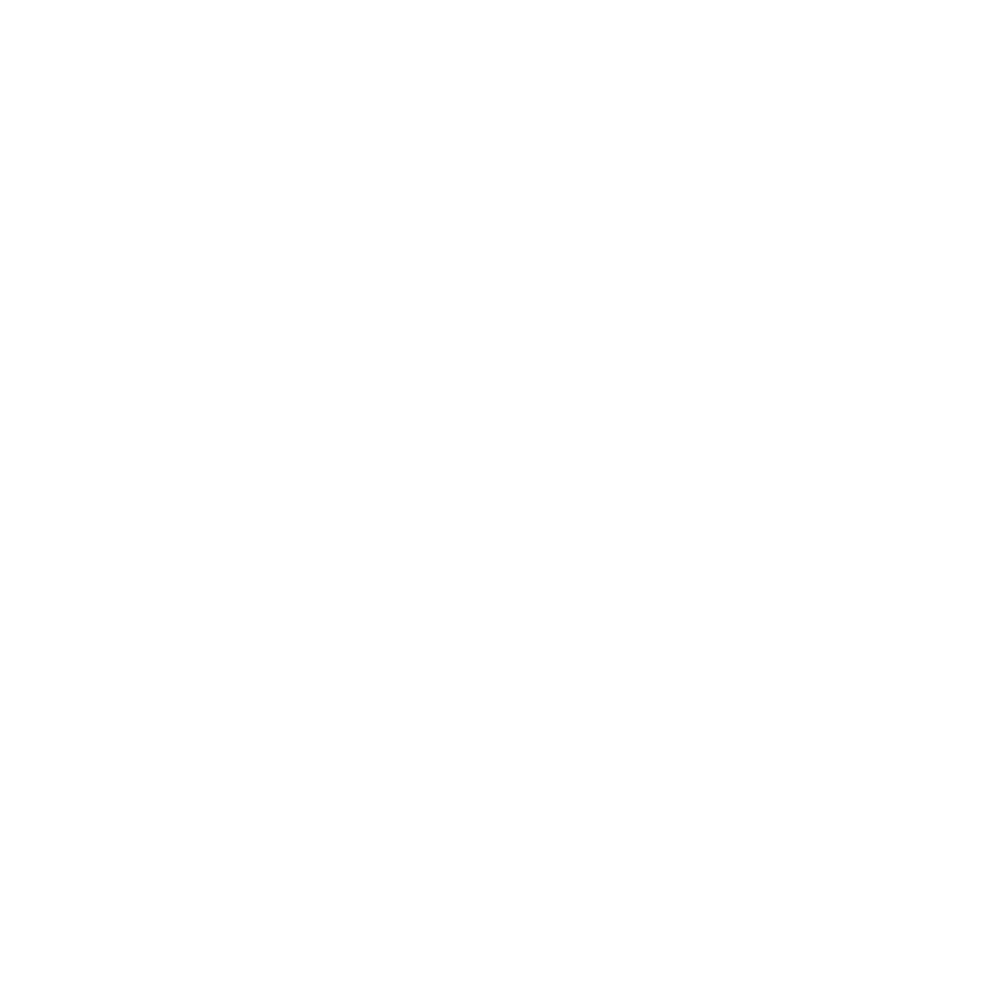 SYNK CULTURE